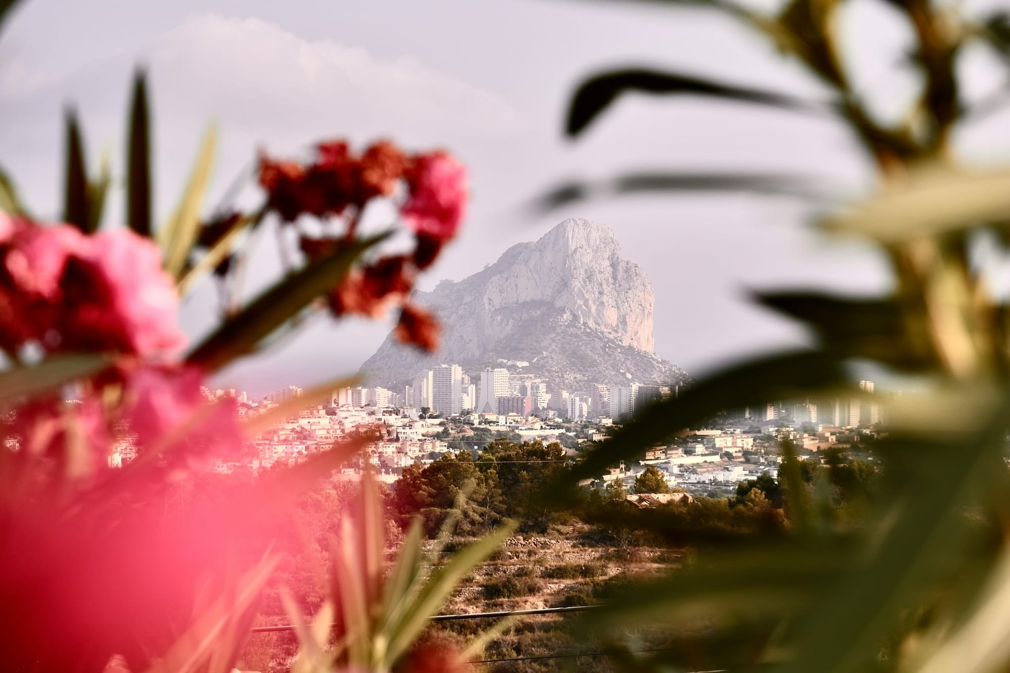 The Mediterranean springs back to life in April with gorgeous flowers and temperatures