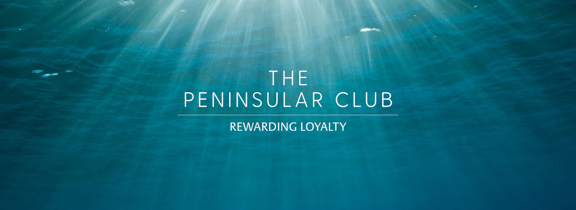 P&O's loyalty scheme rewards repeat customers