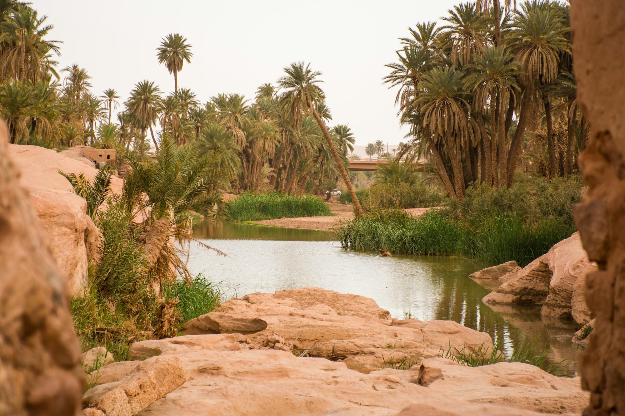Head on an excursion to witness the landscape transform from coastline to desert