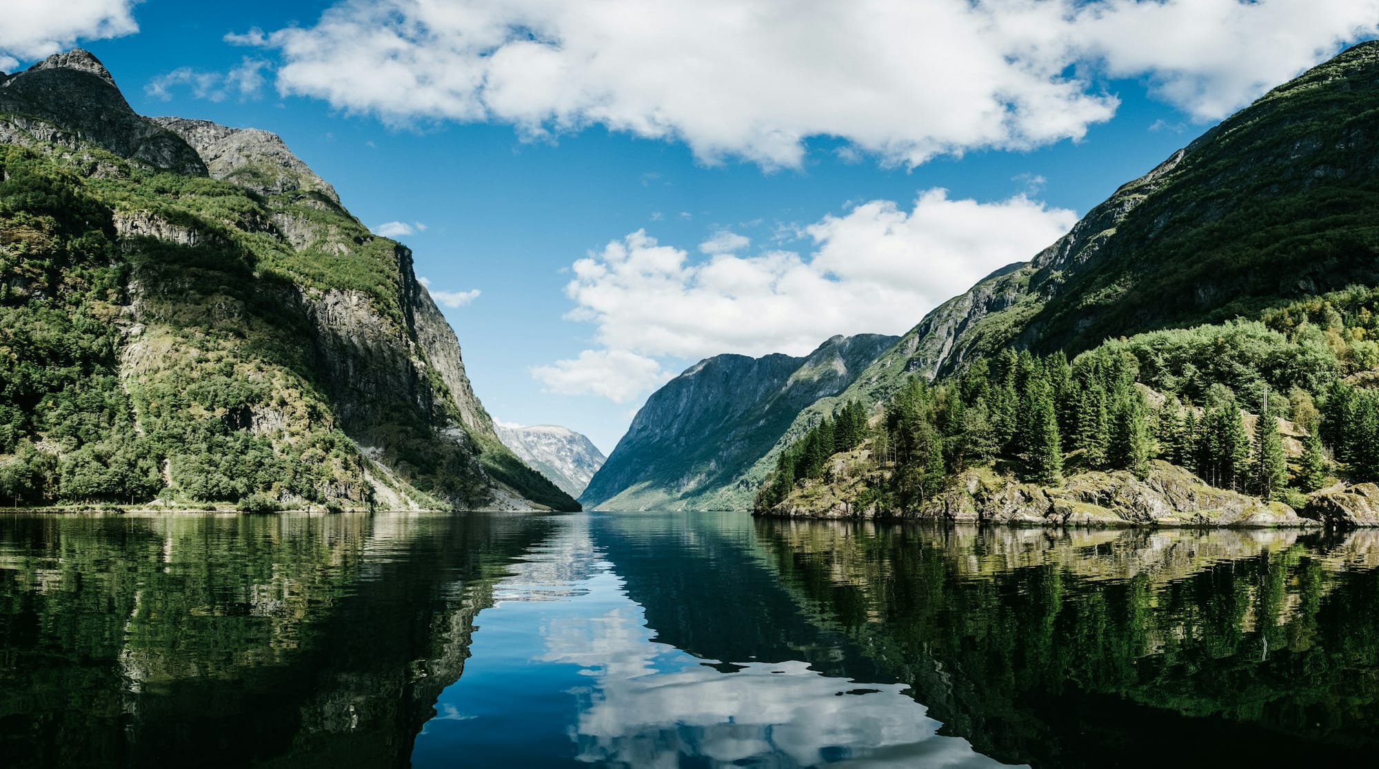 Enjoy the majestic scenery of the fjords directly from Newcastle