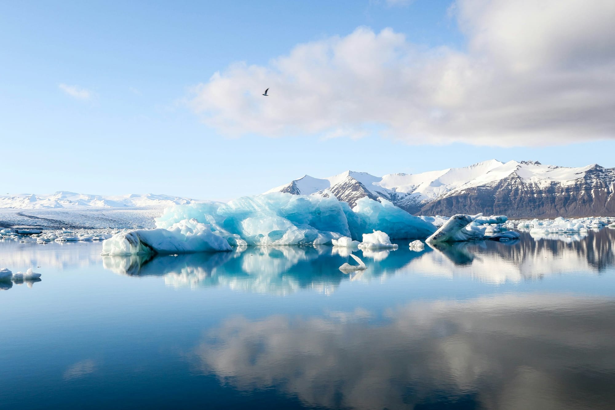 Cruise past glaciers in Iceland