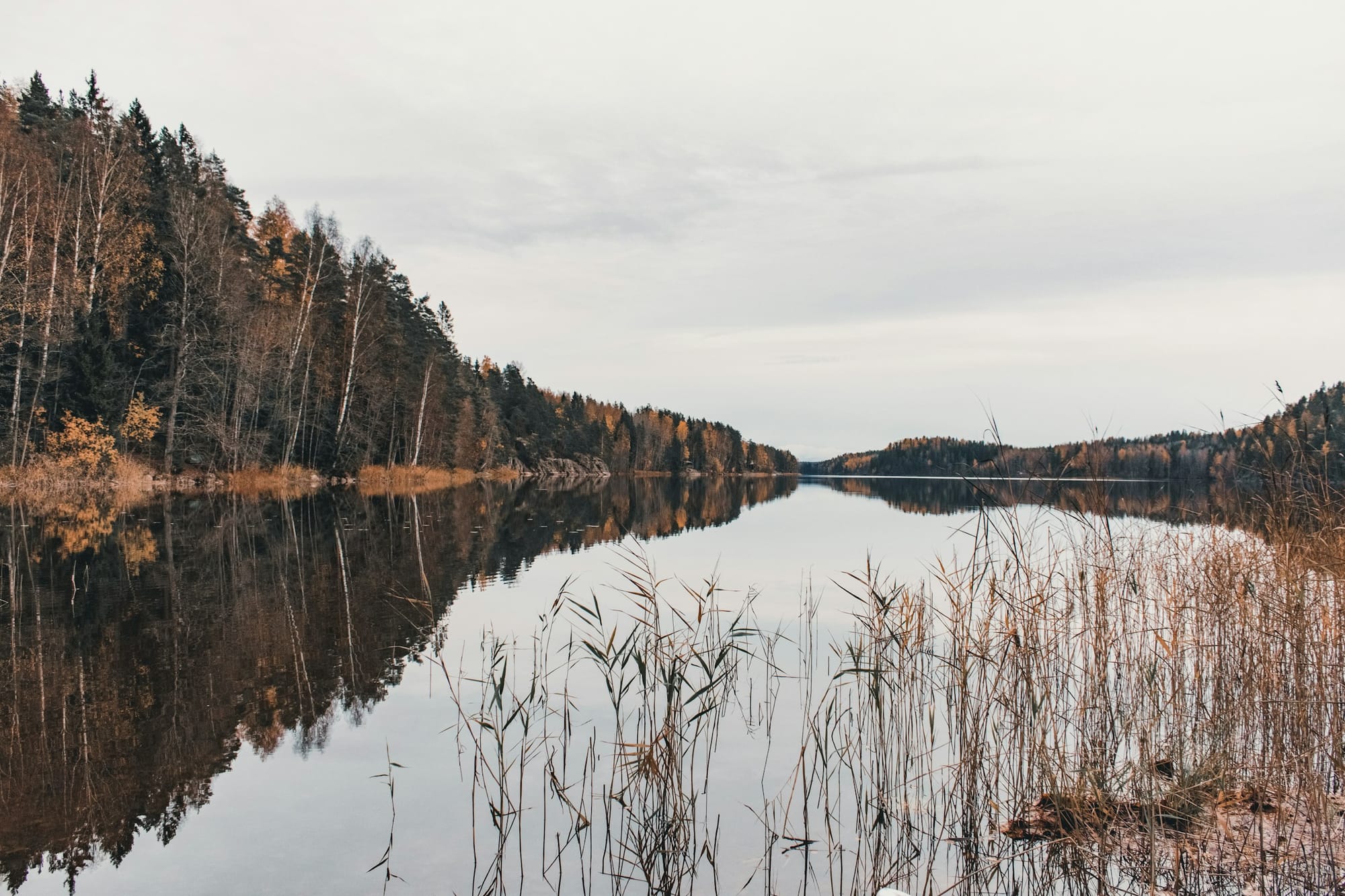 Visit Nuuksio National Park for a forest retreat