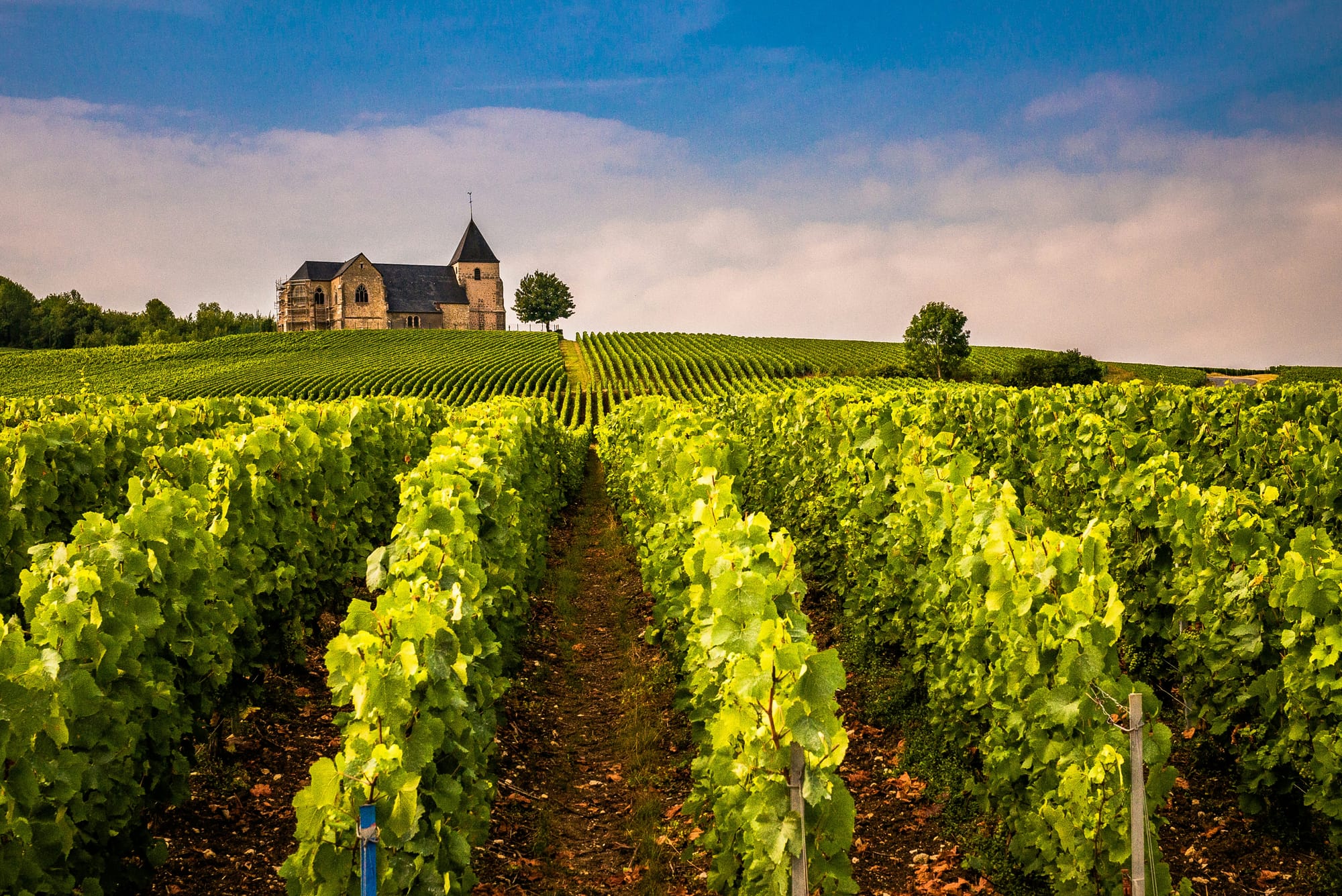 Explore France's key wine region on this 5-day cruise.