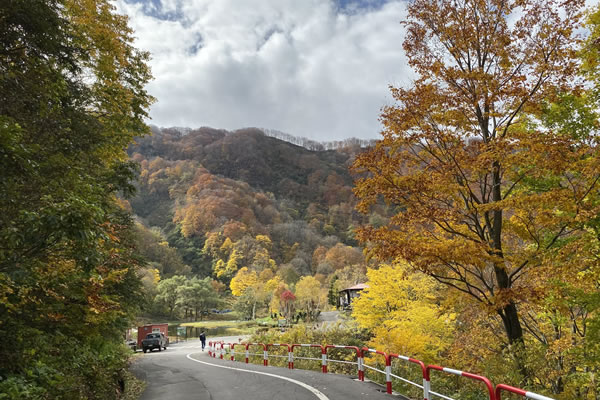 Image of cruise destination