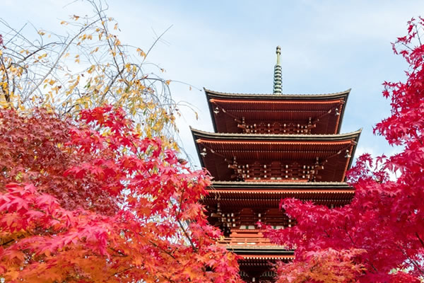 Image of cruise destination