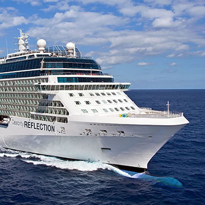 Celebrity Reflection